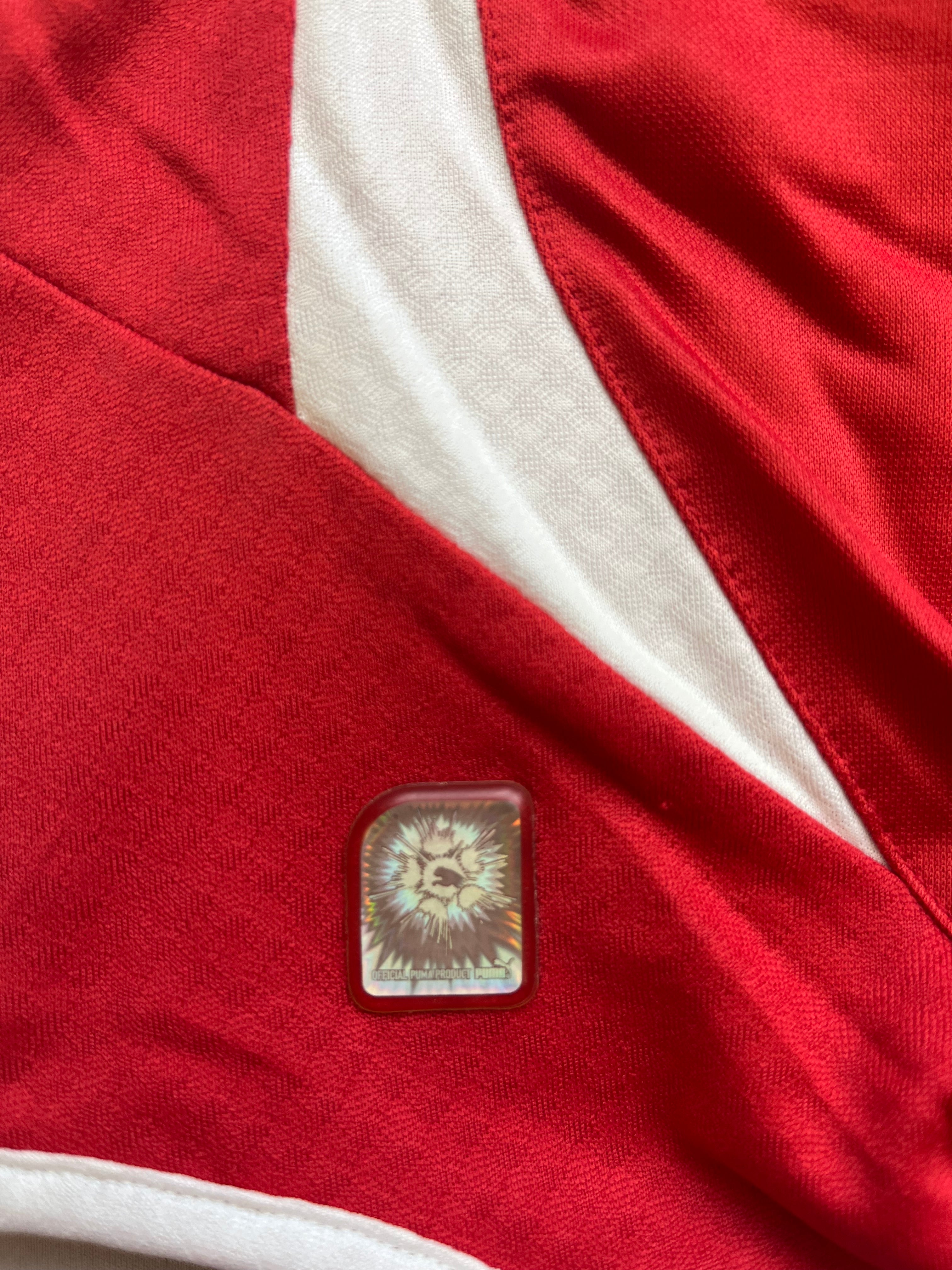 2010/12 Switzerland Home Shirt (L) 9/10